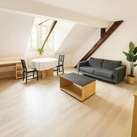 Grand 6p Lejlighed Strasbourg